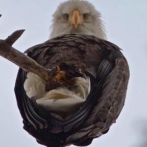 Meet your Posher, Lynn